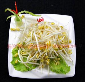 王婆大蝦黃豆芽